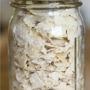 Dry Sour Dough Starter